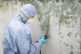 Best Asbestos and Lead Testing During Mold Inspection  in USA